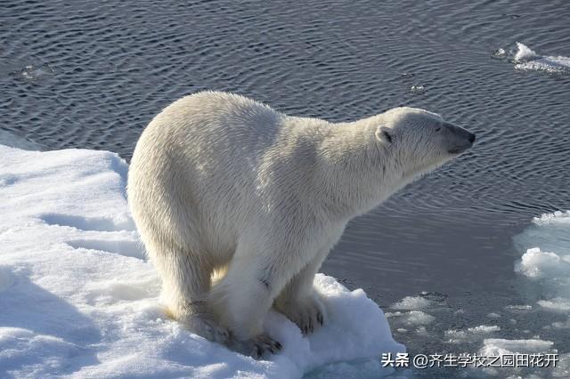 地库顶板景观设计，究竟和屋顶花园有啥区别和难点？