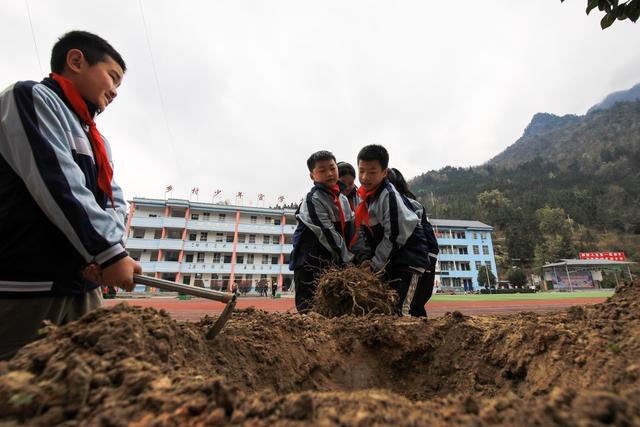 贵州从江：小学生植树添新绿