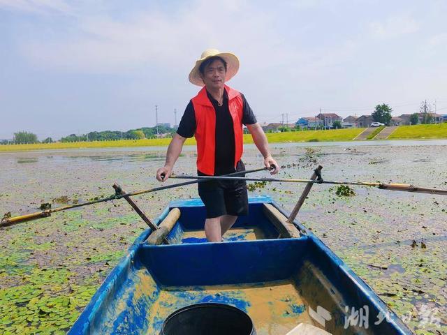 梁子湖区发展水草产业 探索生态价值实现新路径