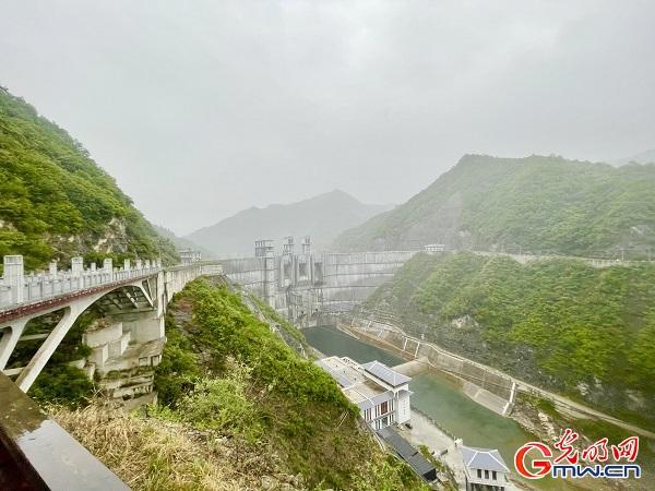 走进秦岭佛坪“熊猫之乡”互联网企业为乡村振兴“添薪助燃”