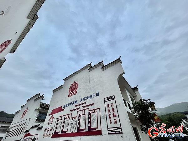 走进秦岭佛坪“熊猫之乡”互联网企业为乡村振兴“添薪助燃”