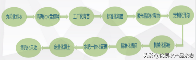 想买台大葱移栽机？一定要先做好这一步