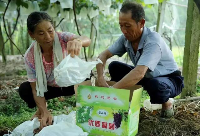 【上饶天下SHOW之万年县】万年这个乡是苏东坡后裔居住地，如今是特色文旅乡村！