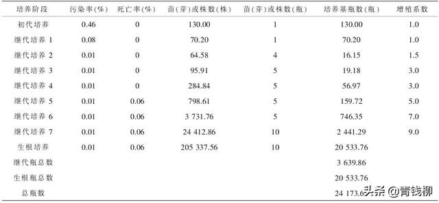 基金项目：草莓脱毒种苗规模化繁育的成本核算及经济效益分析