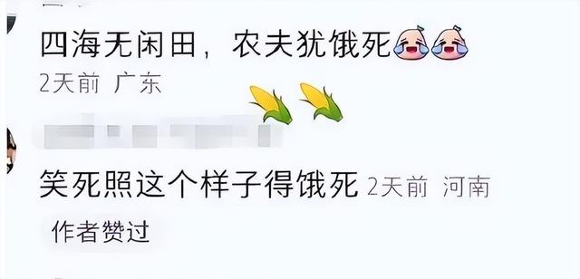 农大学生将白菜和萝卜杂交，结果悲剧了，评论区留言太精彩