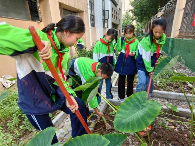 襄阳东津新区第一实验小学：亲历基地种植，体验劳动乐趣