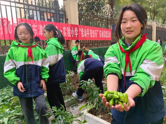 襄阳东津新区第一实验小学：亲历基地种植，体验劳动乐趣