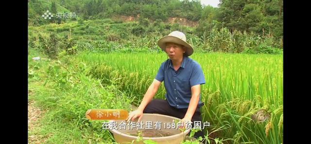 湖南男子承包100亩山地种辣椒，如今辣椒价格翻3倍，年销售400万