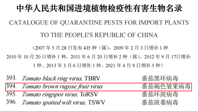 导致茄果蔬菜绝收的新型病毒已侵染28国，发病率极高，中国也有