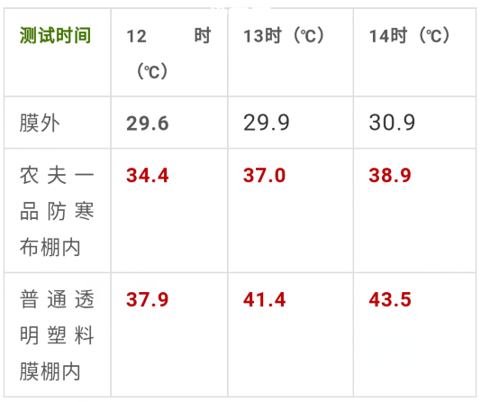 柑橘种植高手在砂糖桔园参观新型盖膜产品，覃会长解说防寒布优势