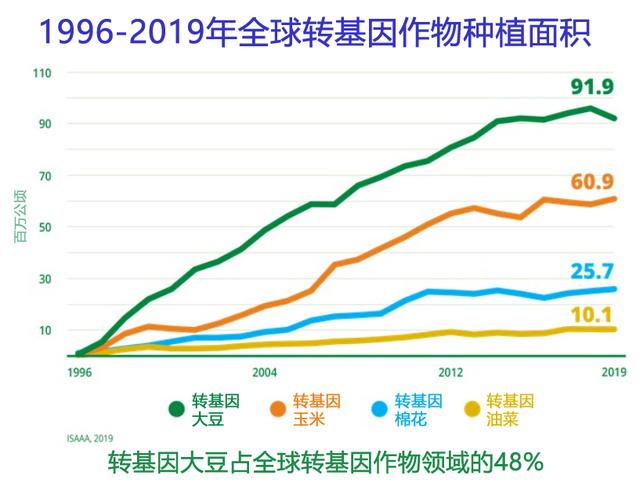 2023年，可以种植转基因玉米了，你会种吗？