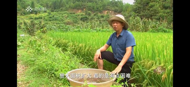 湖南男子承包100亩山地种辣椒，如今辣椒价格翻3倍，年销售400万