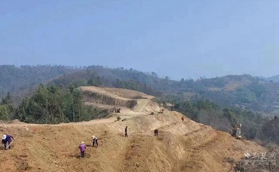 蕲春槐树山村建设油茶新基地，山沟里崛起“绿色银行”