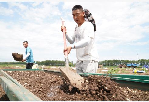 让“北药”支棱起来：中药材市场筹谋第五极，俄产中药将大增