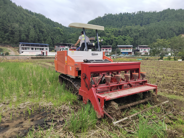 广元苍溪：秋种正当时 油菜播种忙