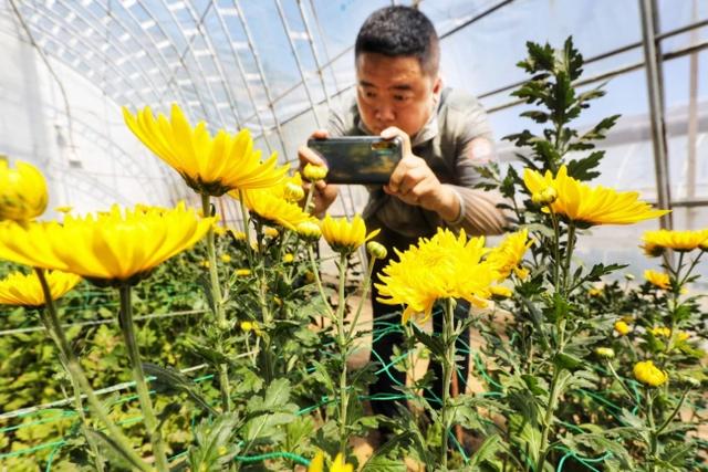 花香果蔬鲜 大棚田边话转型