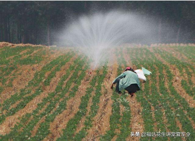 全国各地花生播期与生育期，看你知道多少