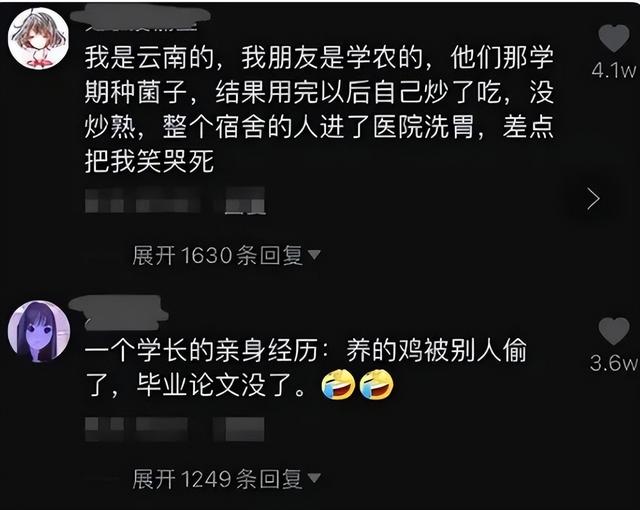 农大学生将白菜和萝卜杂交，结果悲剧了，评论区留言太精彩