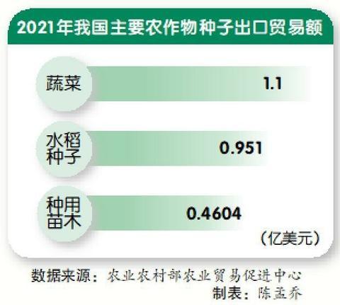 深入研究杂交改良，大幅提升种植产量，中国种子为世界带来什么？