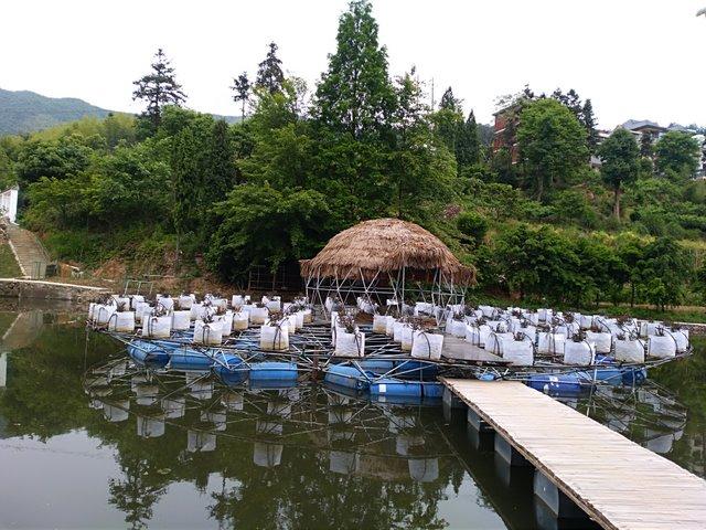 水上农场耕作技术的特点及优势