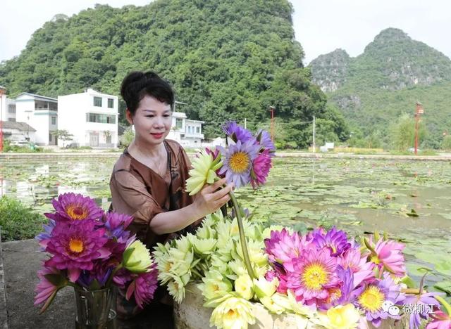 花都开好了！来，九品香莲正诠释着这个夏日的唯美～