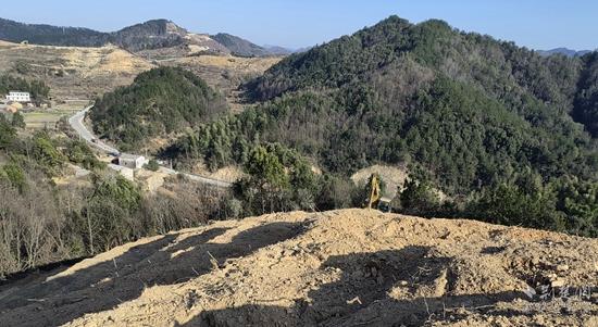 蕲春槐树山村建设油茶新基地，山沟里崛起“绿色银行”