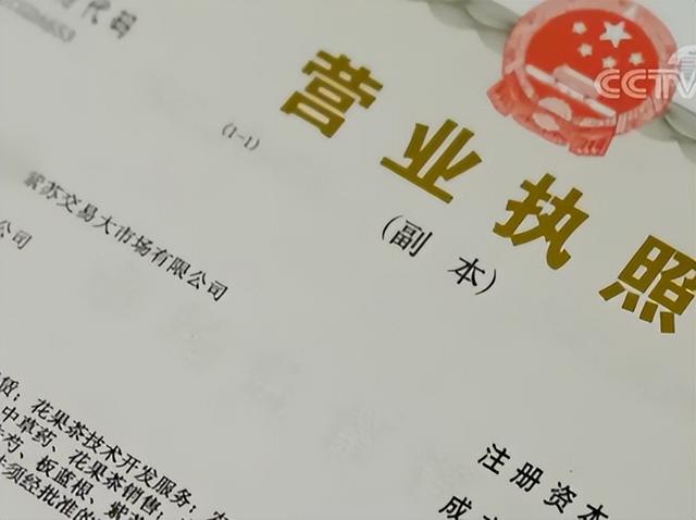 黑土地里的紫“黄金”，一片叶子能卖2元，有人深加工后年入千万