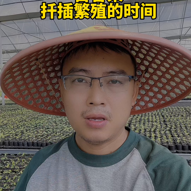 百香果扦插繁殖的时间#记录我的种植生活