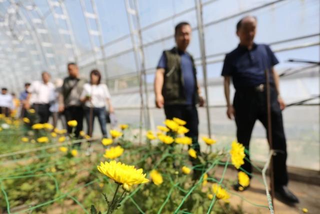 花香果蔬鲜 大棚田边话转型