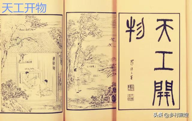 古代纺织的主要原料之一！浅谈苎麻在古代的重要性、及种植和发展