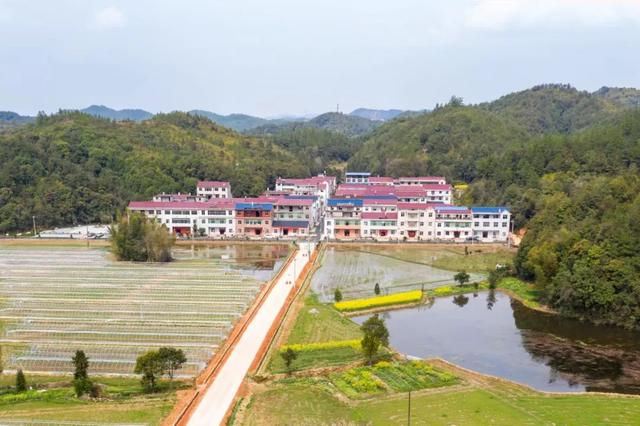 【上饶天下SHOW之万年县】万年这个乡是苏东坡后裔居住地，如今是特色文旅乡村！