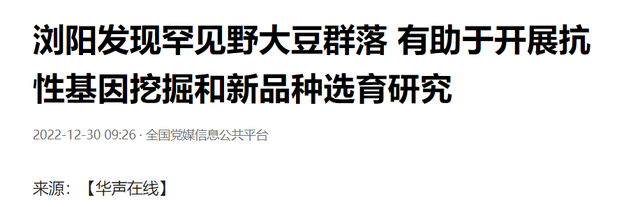 湖南发现2600平野生大豆，多重要？可能藏着高产、抗病等稀缺基因