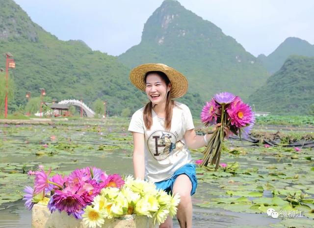 花都开好了！来，九品香莲正诠释着这个夏日的唯美～