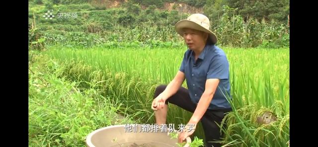 湖南男子承包100亩山地种辣椒，如今辣椒价格翻3倍，年销售400万