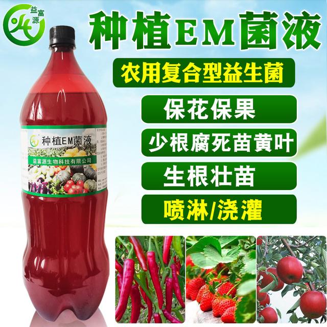 益富源种植EM菌液在瓜类作物种植上的效果及使用方法