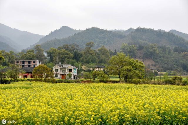 2019年农村做啥项目赚钱？养殖、种植哪个好？农村养殖、种植浅析