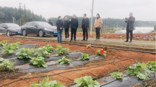 湖北荆州市荆州区博落回产业调研团一行莅临美可达考察调研