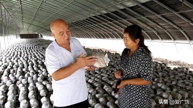 【优秀人才风采】刘华：白手起家种蘑菇 炼成致富 “领头雁”