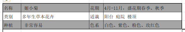 四季开花不断的姬小菊如何养护？做好这几点爆盆成开花机器