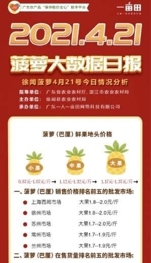 视频｜徐闻菠萝做对了什么？