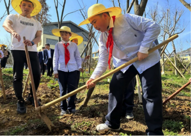 “植”此青绿，弘扬国粹！浙中医大“药博士”牵手小学生