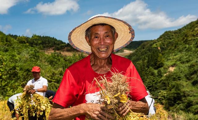 夏播大豆种植技术，方法其实很简单，偏偏很多人犯错误