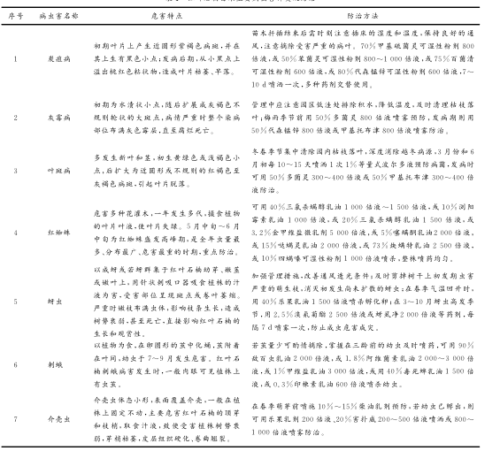 红叶石楠容器苗培育技术规程