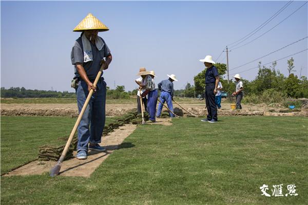 走向我们的小康生活｜西冯草坪“接电飞行”