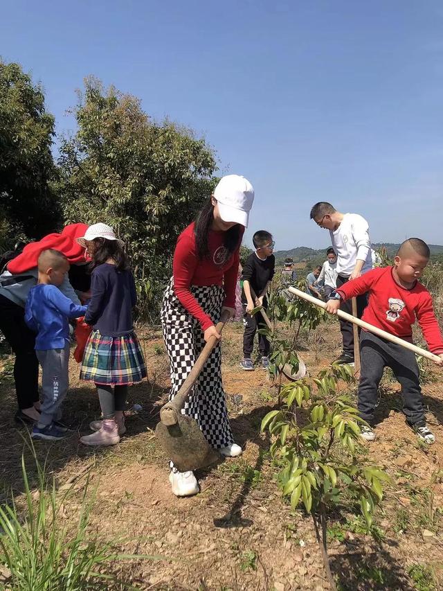 在自己的心田种植一棵小树