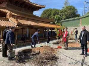 奇楠沉香苗种植基地(百庙千香万福来，伍佰艺沉香集团义务种植奇楠沉香功德林纪实)