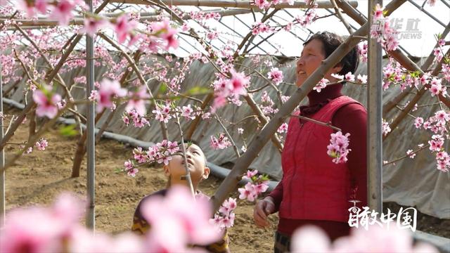 瞰中国·春“芒”｜在希望的田野上