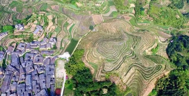 松阳：留住绿水青山 打造有机农耕强县