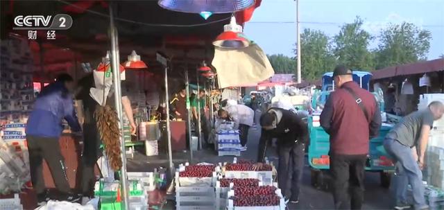 种植技术提高+味美价优 国产樱桃市场占有率不断提高