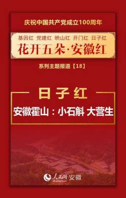 野生安徽霍山石斛种植(日子红丨安徽霍山：小石斛 大营生)